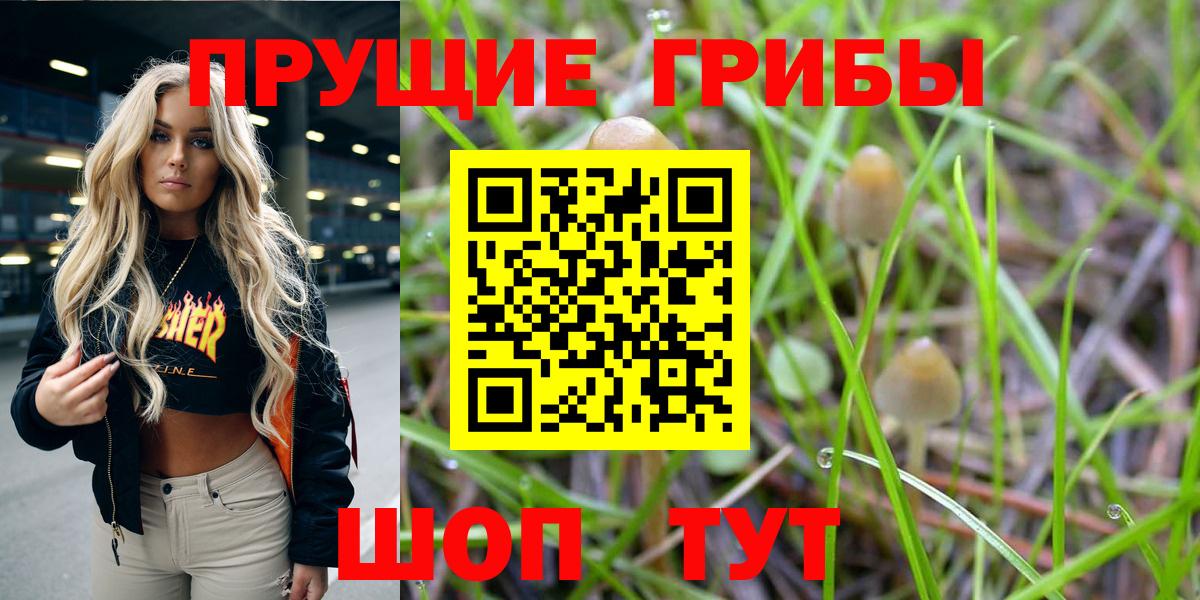 Галлюциногенные грибы Psilocybine cubensis Углич
